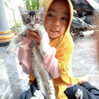 Hari Dapat Saldo Pulsa Gratis